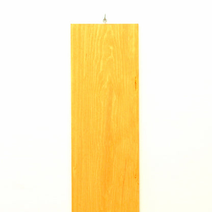 Color Chip